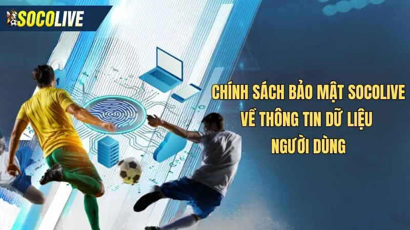 Chính sách bảo mật về dữ liệu cá nhân của người dùng