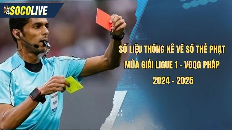 Số liệu thống kê về Ligue 1 số thẻ phạt