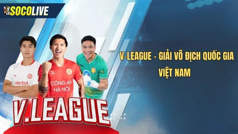 Tổng quan số liệu thống kê về V-League mùa giải 2024-2025